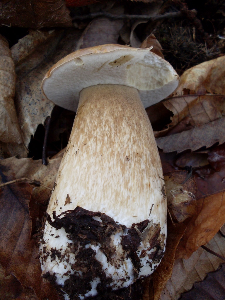 Luned� 10 Novembre