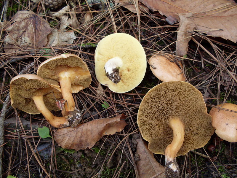 Luned� 10 Novembre