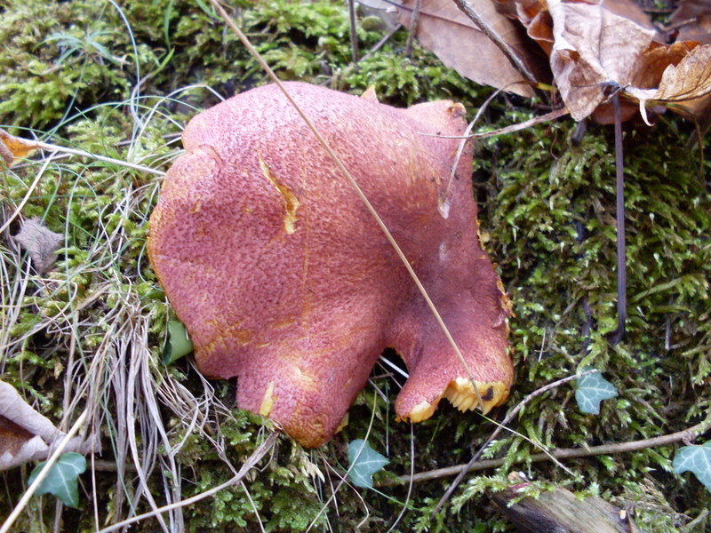 Luned� 10 Novembre