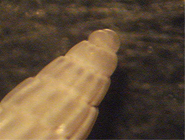 Spiaggia Riccine 043