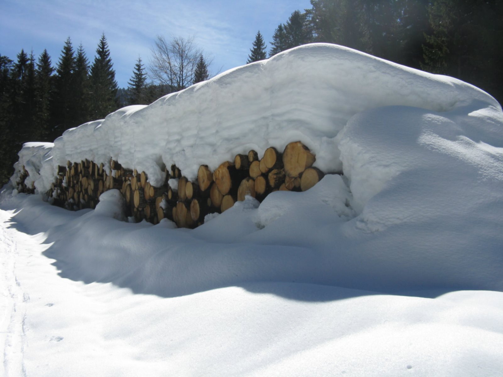 Nevicata in Dolomiti