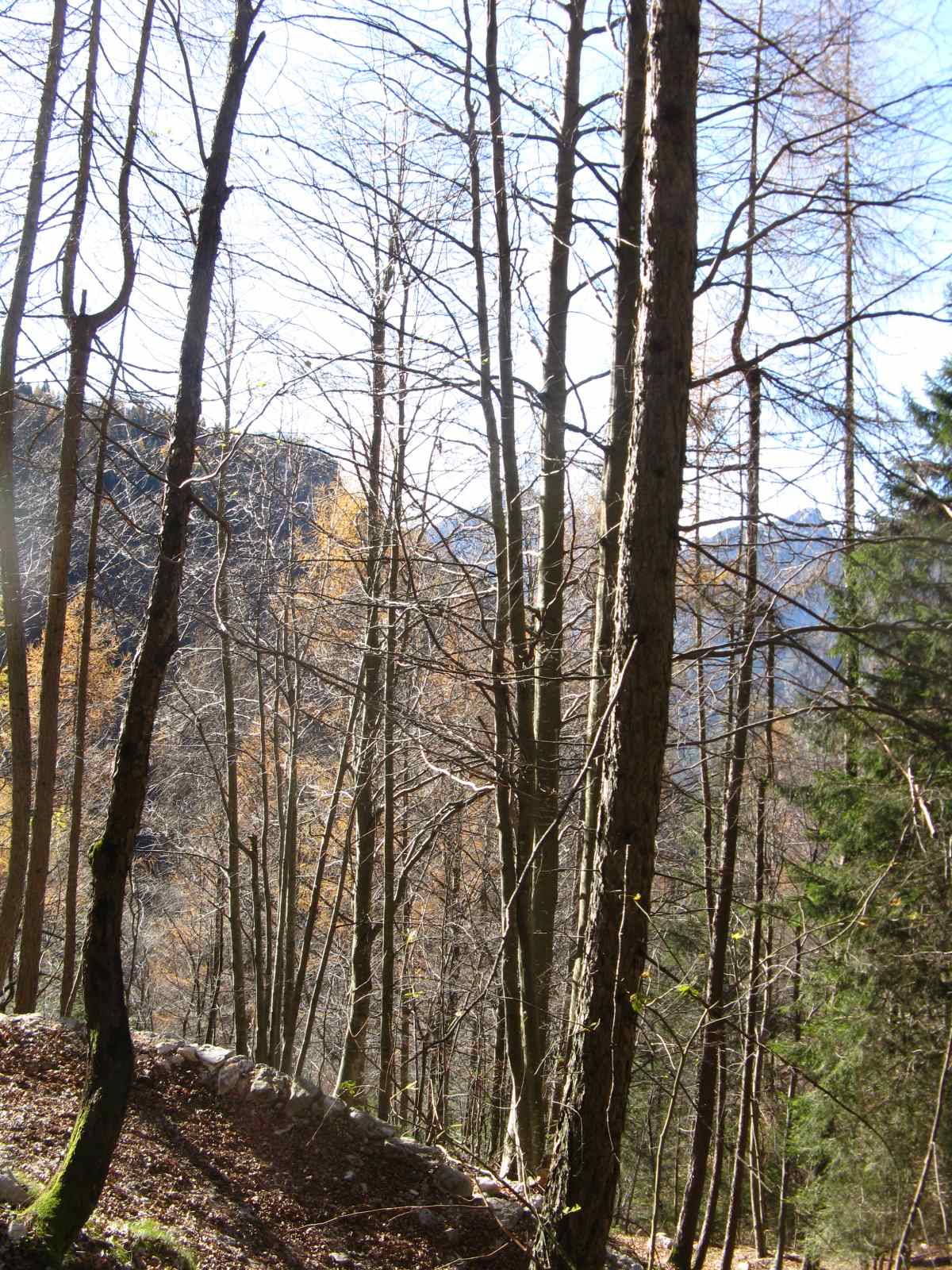 Piani Eterni: nel cuore selvaggio del PNDB