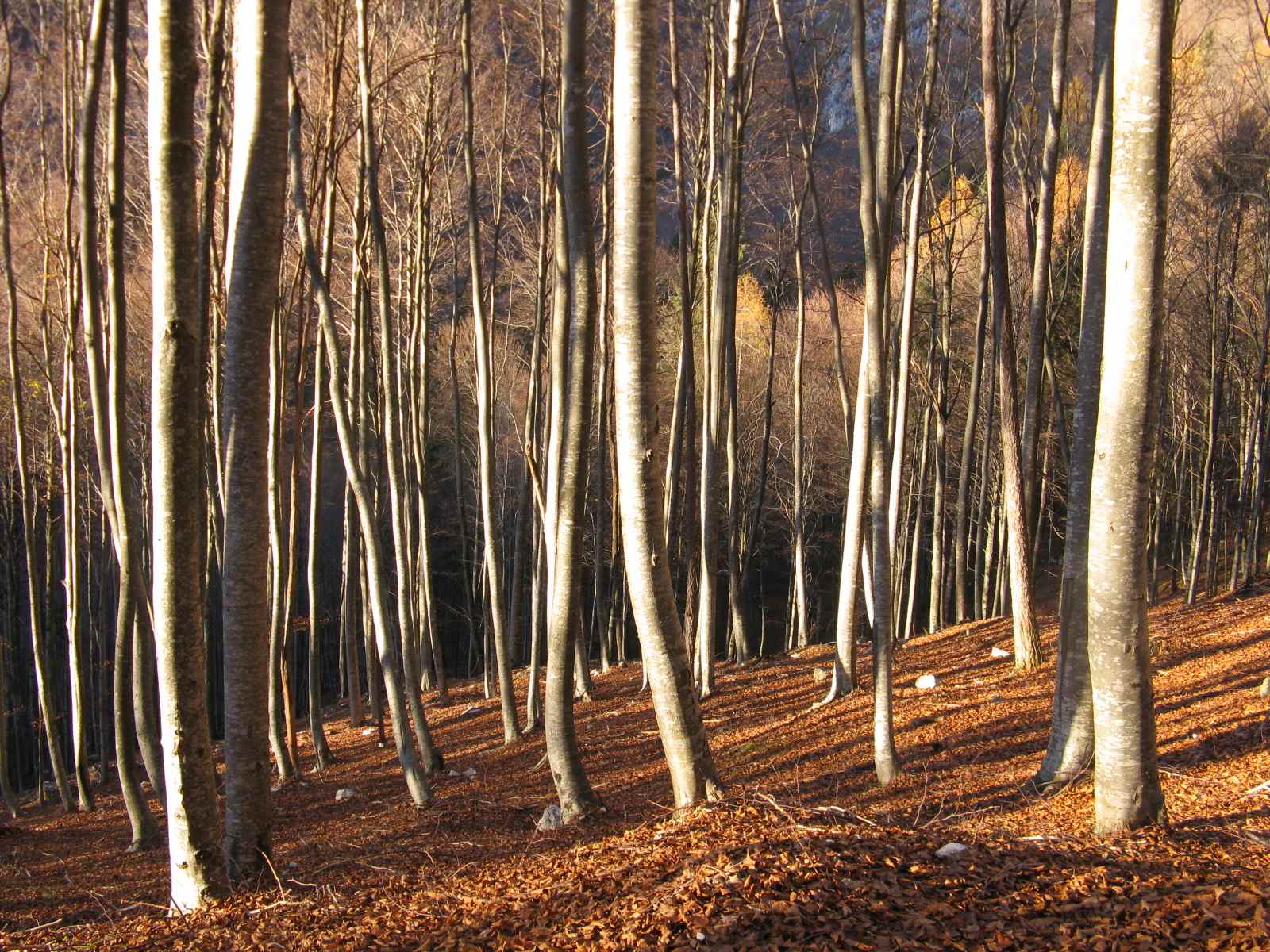 Piani Eterni: nel cuore selvaggio del PNDB