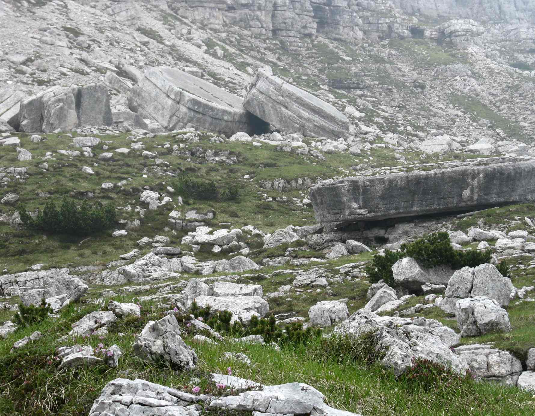 Piani Eterni: nel cuore selvaggio del PNDB