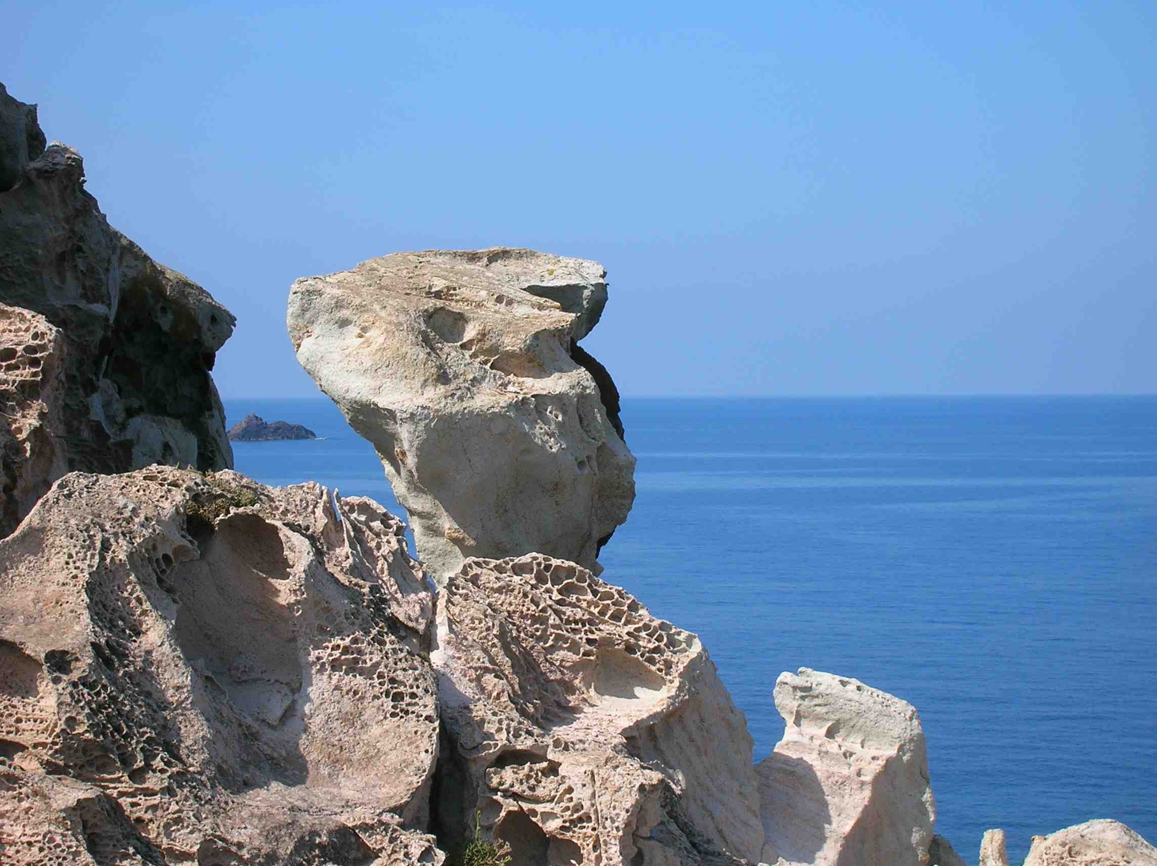 Falco della Regina - Isola di San Pietro