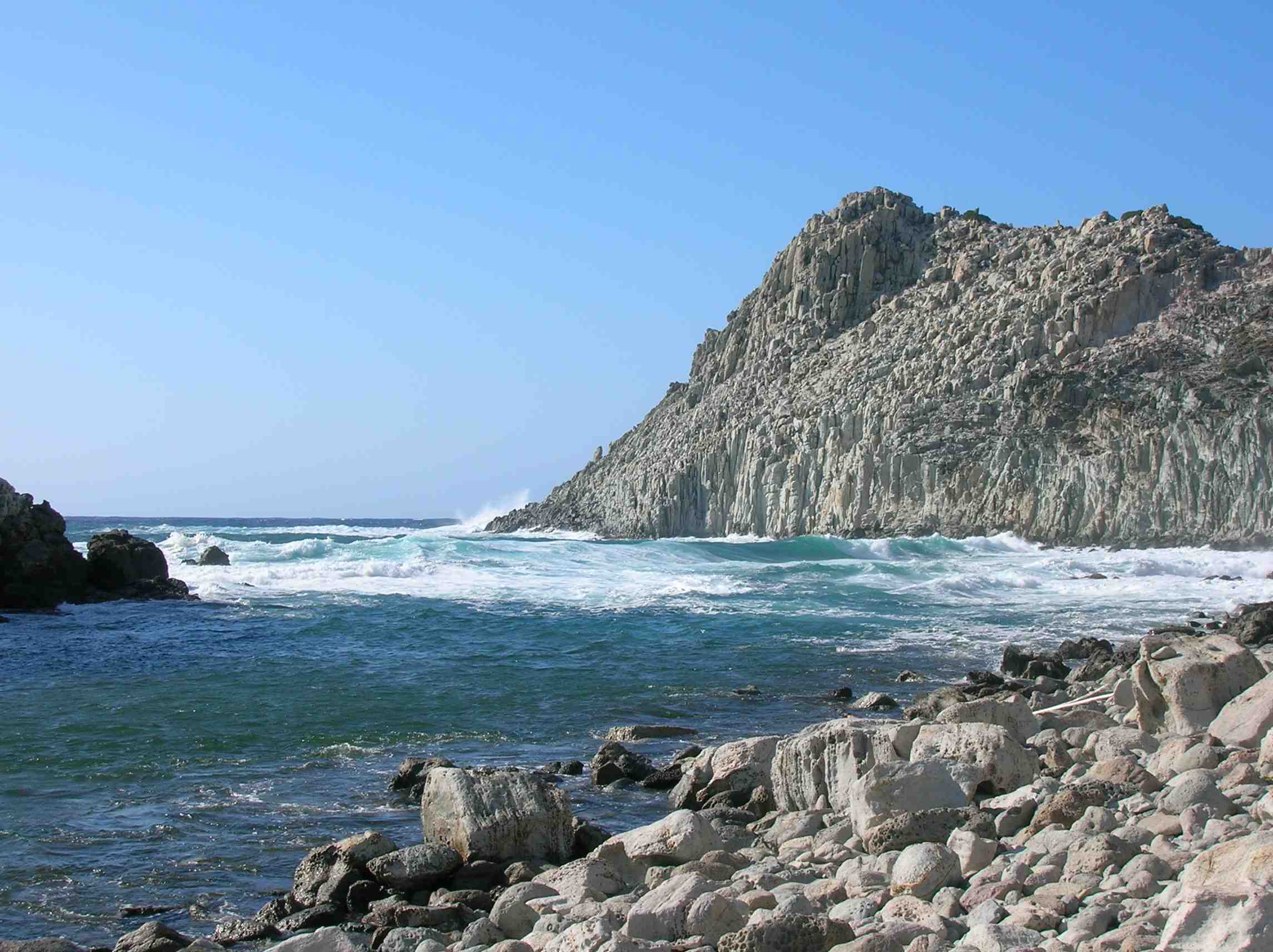 Falco della Regina - Isola di San Pietro