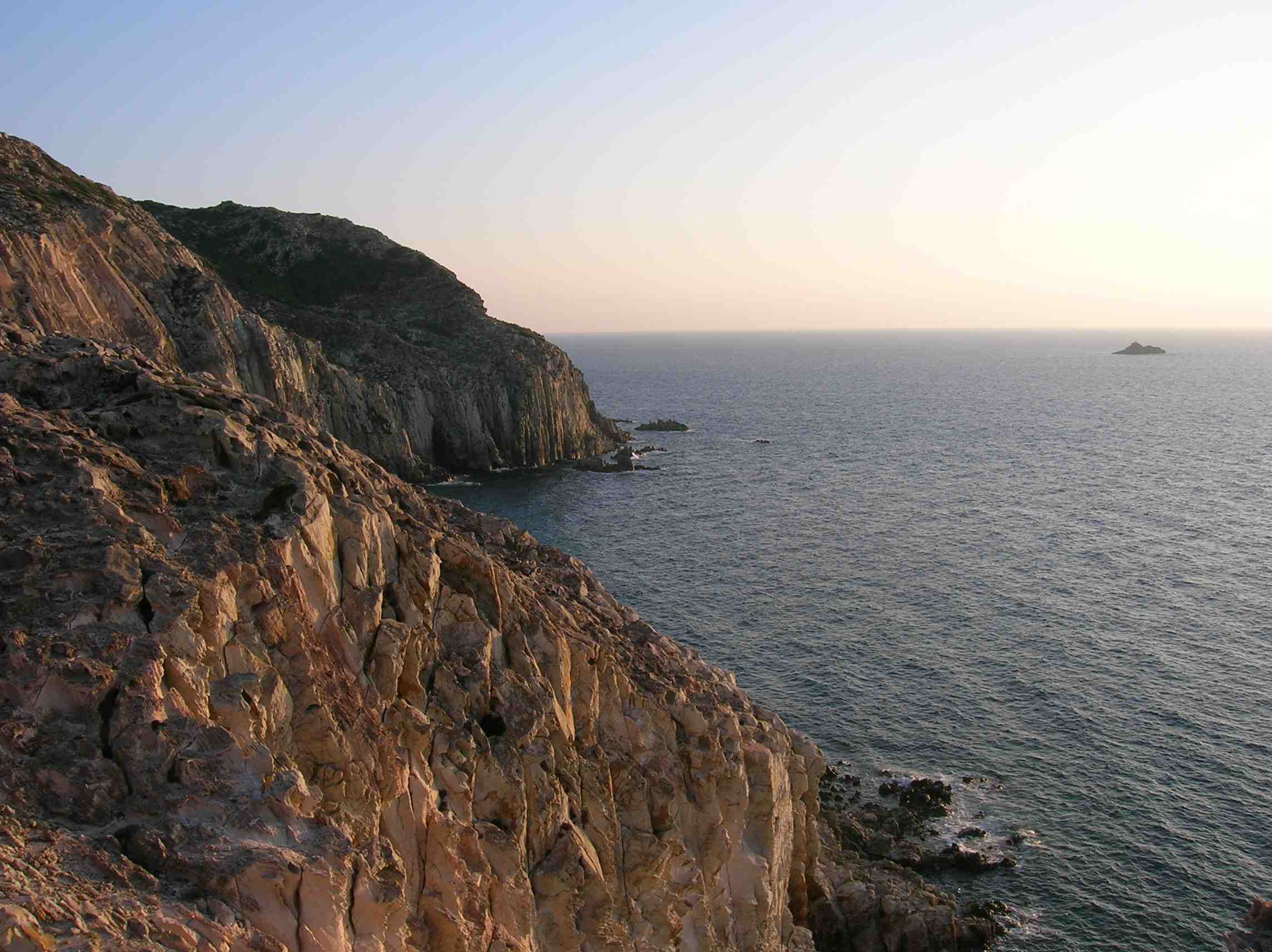 Falco della Regina - Isola di San Pietro
