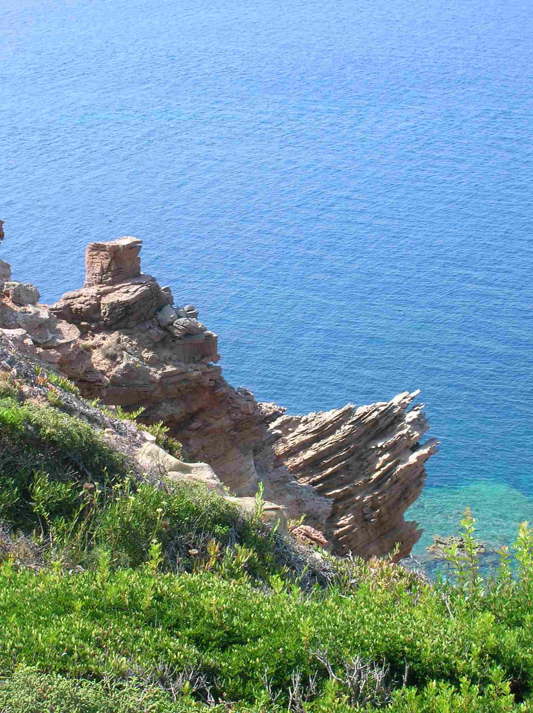 Falco della Regina - Isola di San Pietro