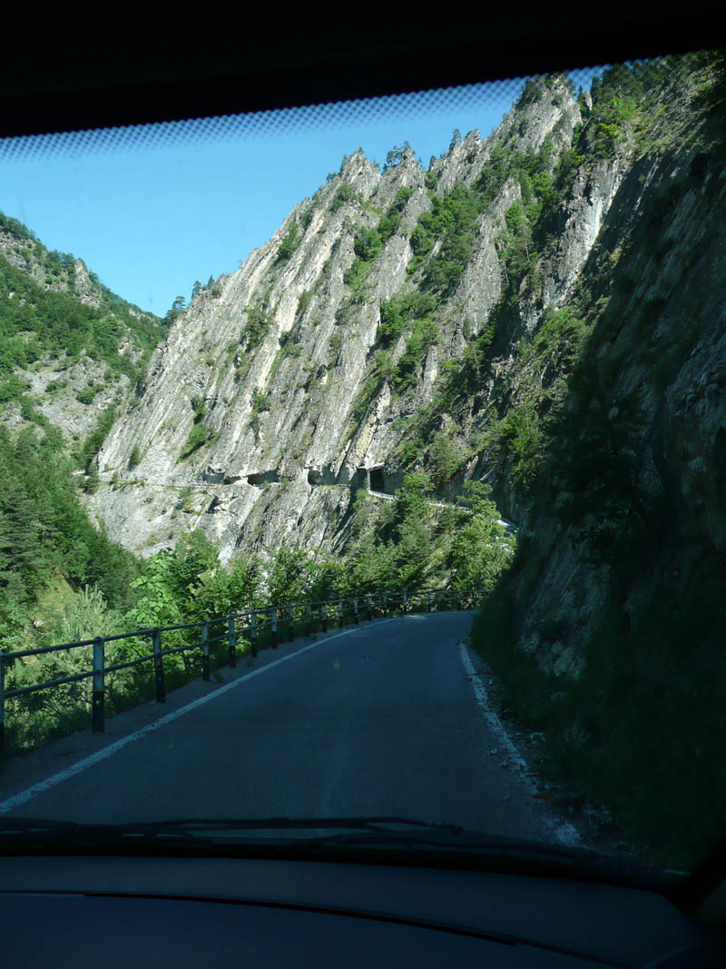 Piante del Val Maira - da Elva (CN) - da determinare (2)