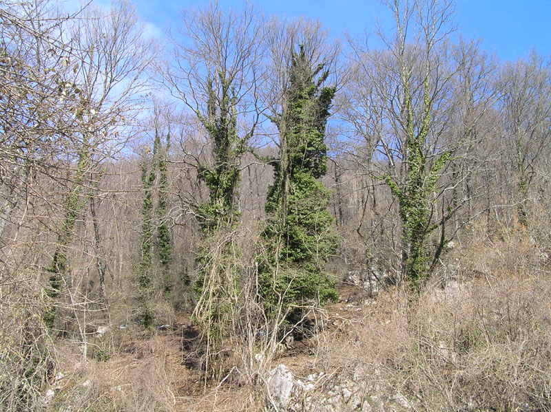 Il Cilento - con altri occhi