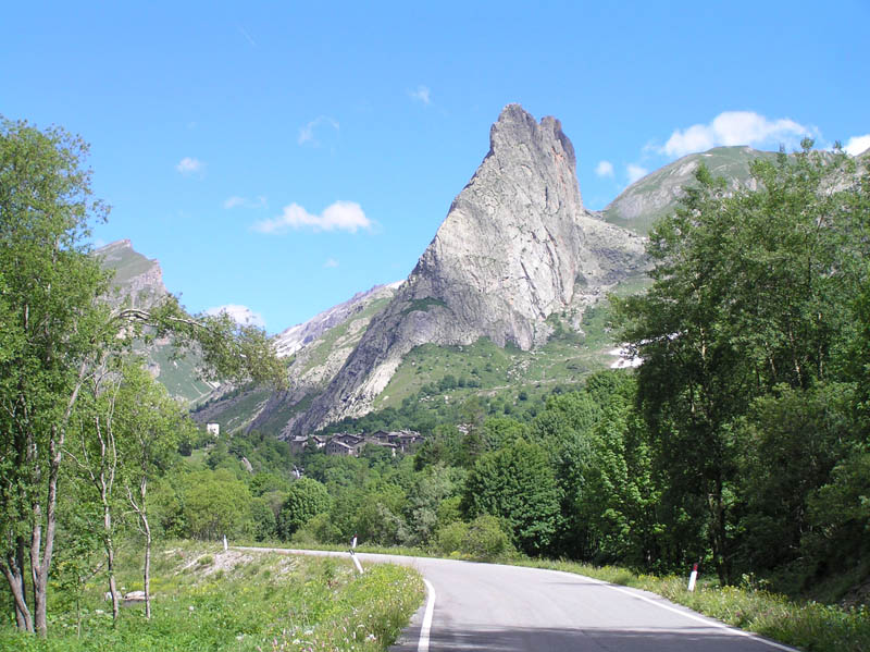 Piante del Val Maira (CN)