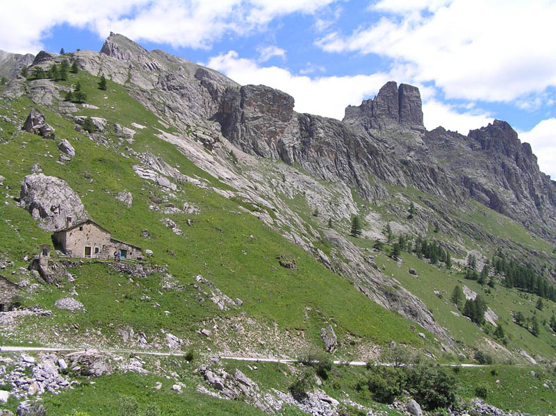 Piante del Val Maira (CN)