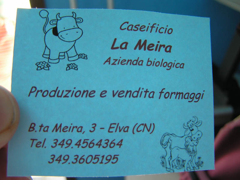 Piante del Val Maira - da Elva (CN) - da determinare (2)