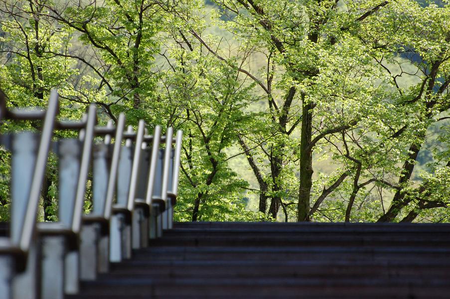 Ditemi che ne pensate, onestamente!