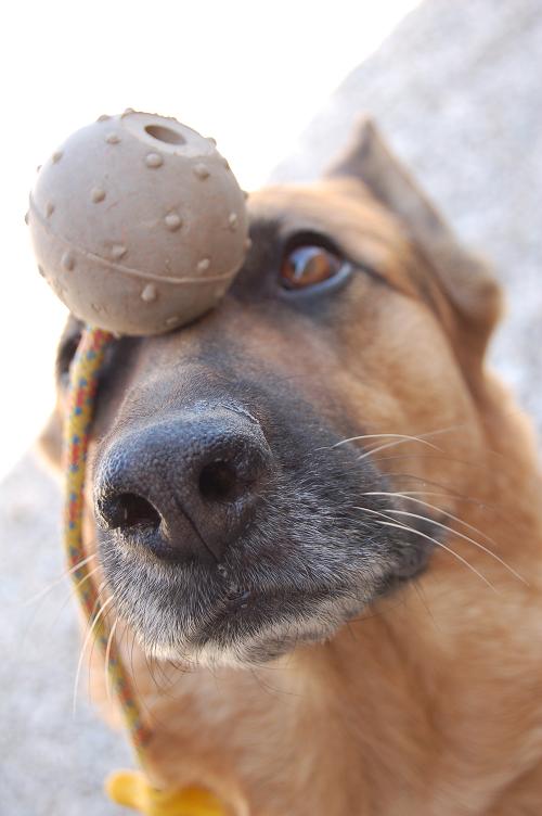 Ditemi che ne pensate, onestamente!