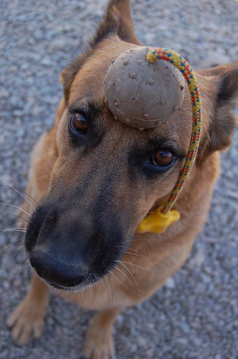 Ditemi che ne pensate, onestamente!