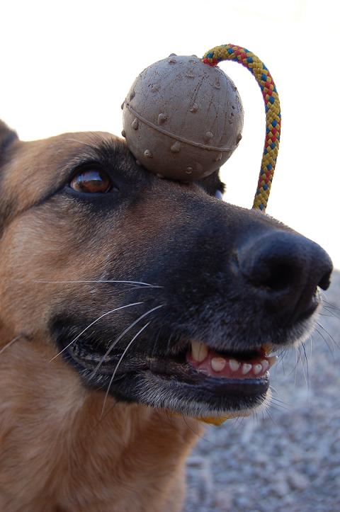 Ditemi che ne pensate, onestamente!