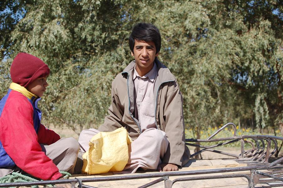 Ditemi che ne pensate, onestamente!