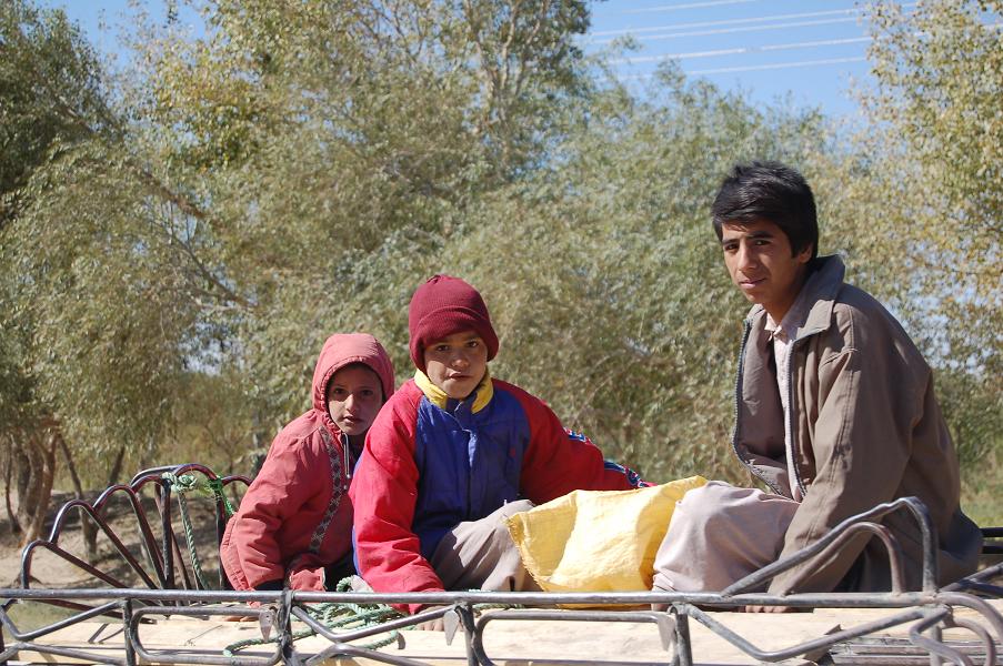 Ditemi che ne pensate, onestamente!