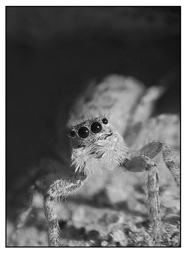 due macro   di  oggi