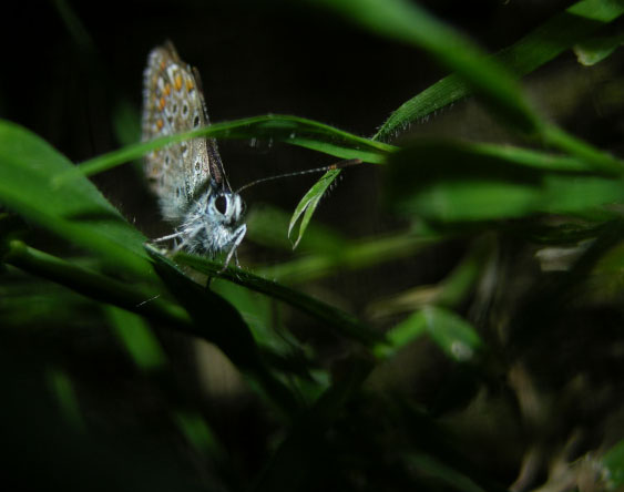 l''oscurit
