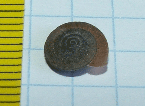 Identificazione 2