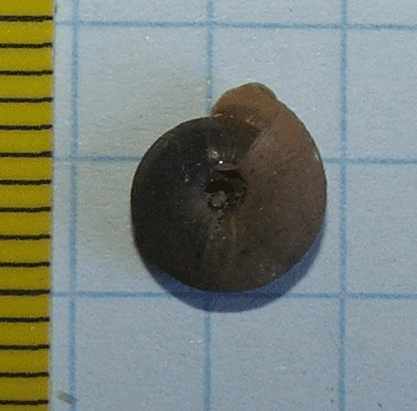 Identificazione 2