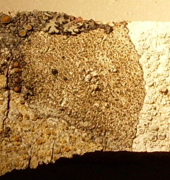 help me!!pleaseeeeeeeee!