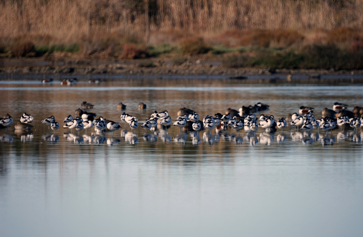 Alcune immagini da Orbetello