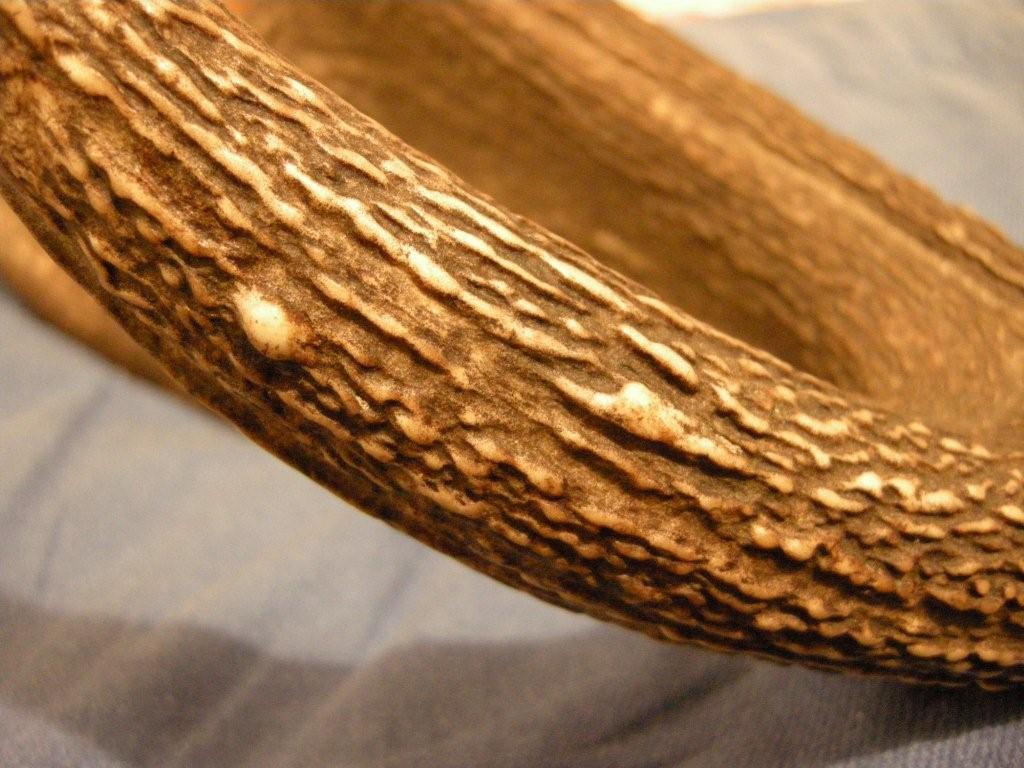 PASSIONE PER IL CERVO