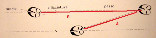 PASSIONE PER IL CERVO