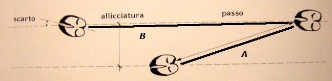 PASSIONE PER IL CERVO