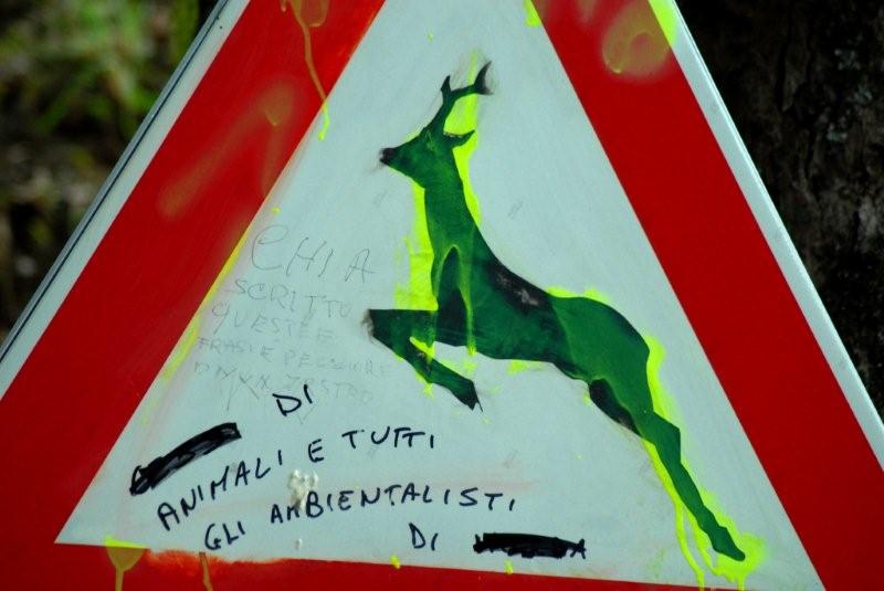 PASSIONE PER IL CERVO