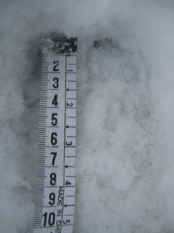 PASSIONE PER IL CERVO