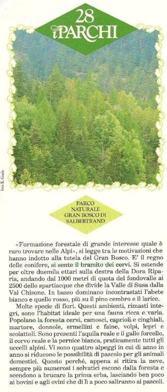 PASSIONE PER IL CERVO