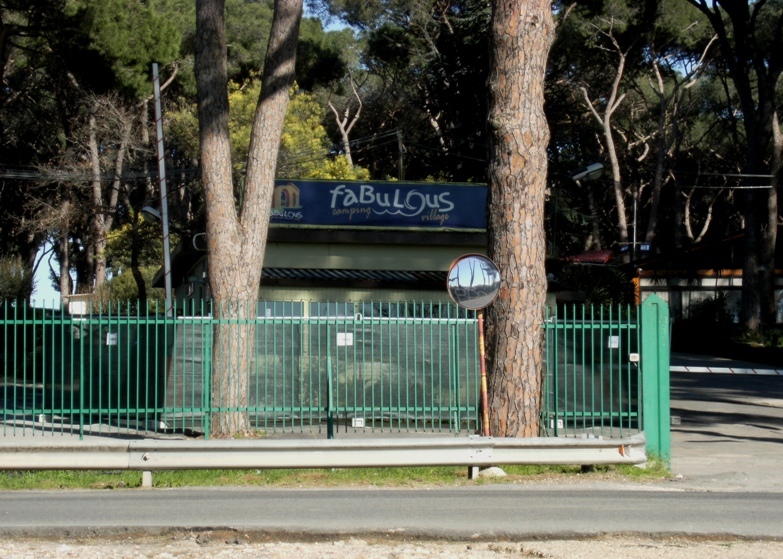 Abbattimento pineta a Casal Bernocchi (Roma)