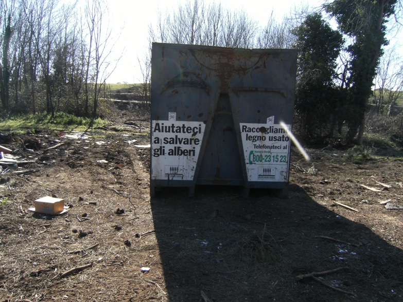 Abbattimento pineta a Casal Bernocchi (Roma)