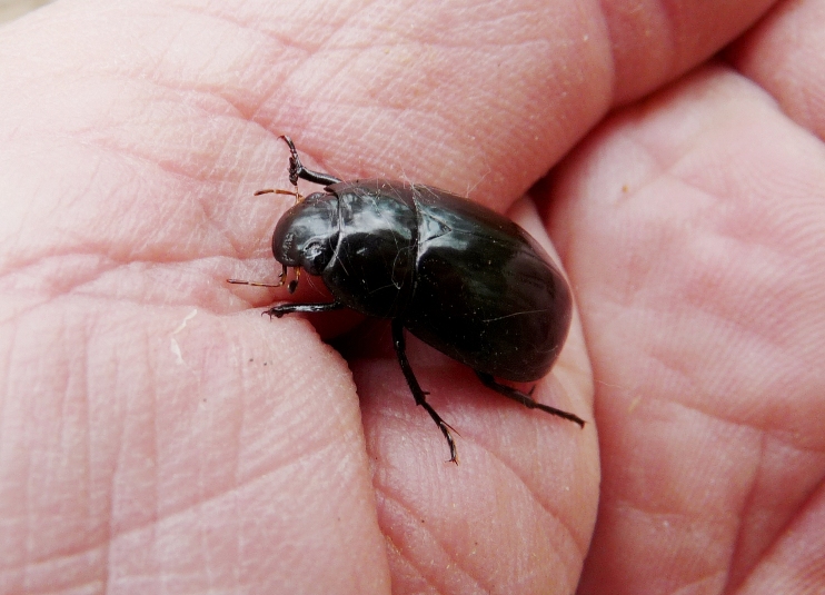 Valle del Farma e Stagno della Troscia: luoghi meravigliosi!