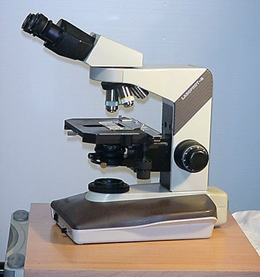 Acquisto microscopio per studio micologia