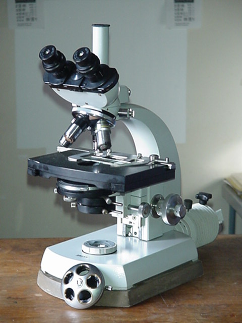 Zeiss primo star o no?