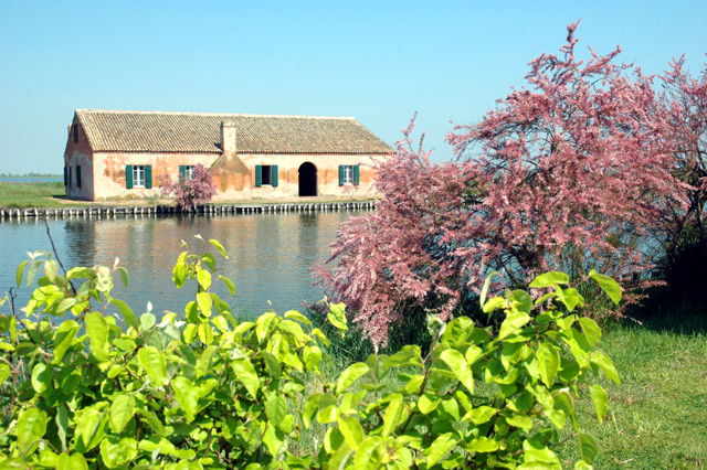 Comacchio, le sue valli e la salina