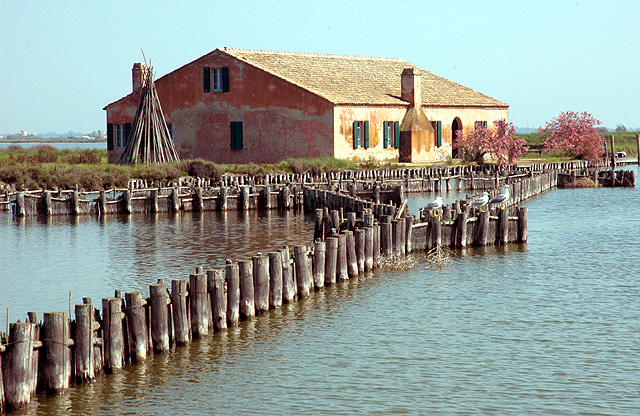 Comacchio, le sue valli e la salina