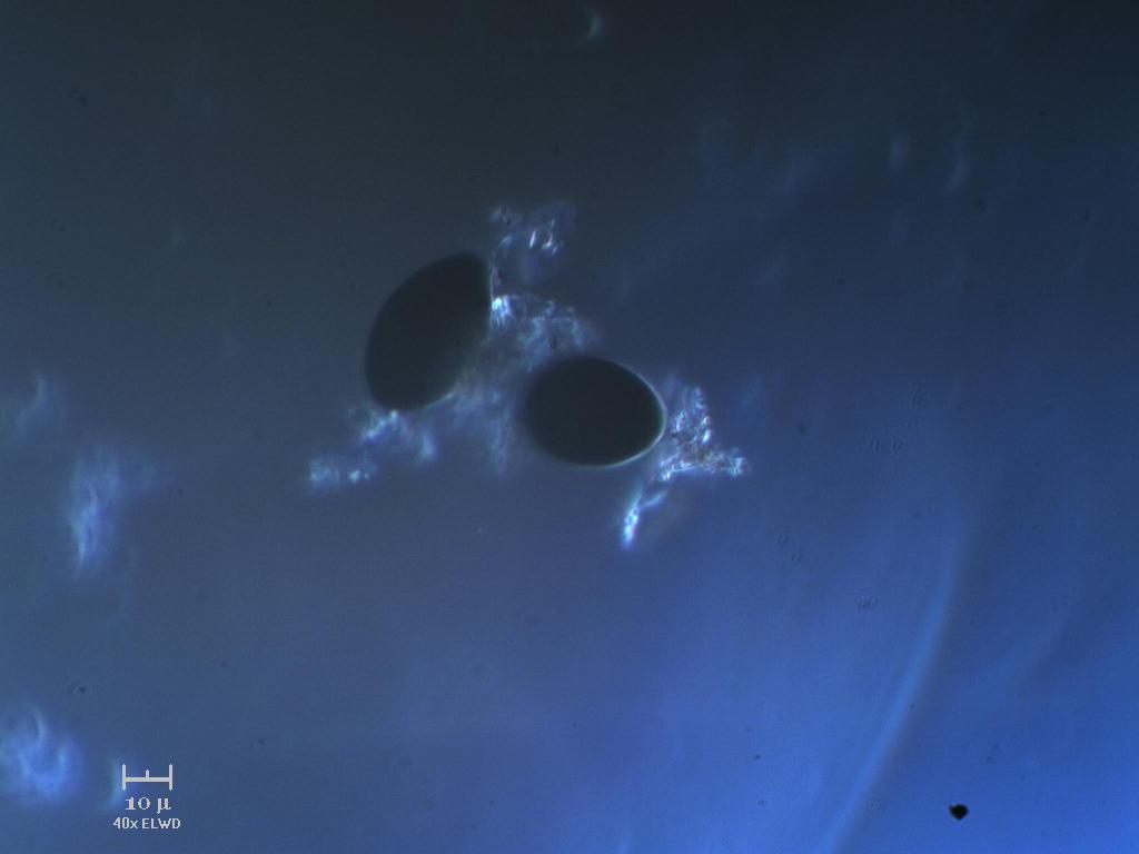 Pi� nero di cos�...