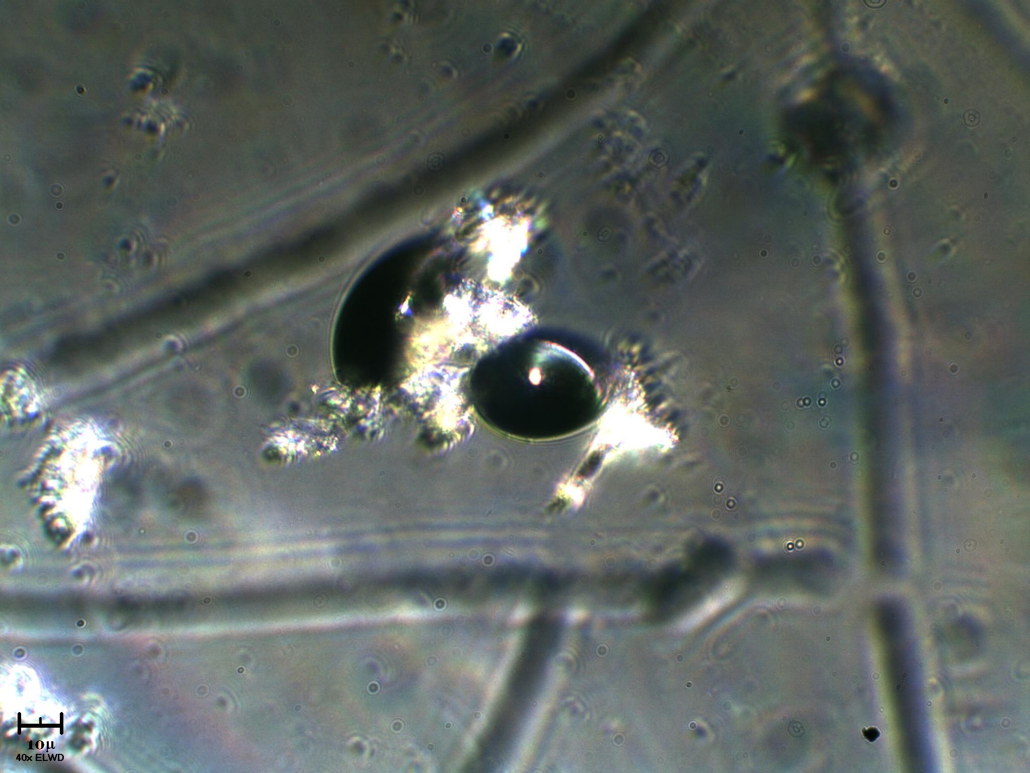 Pi� nero di cos�...