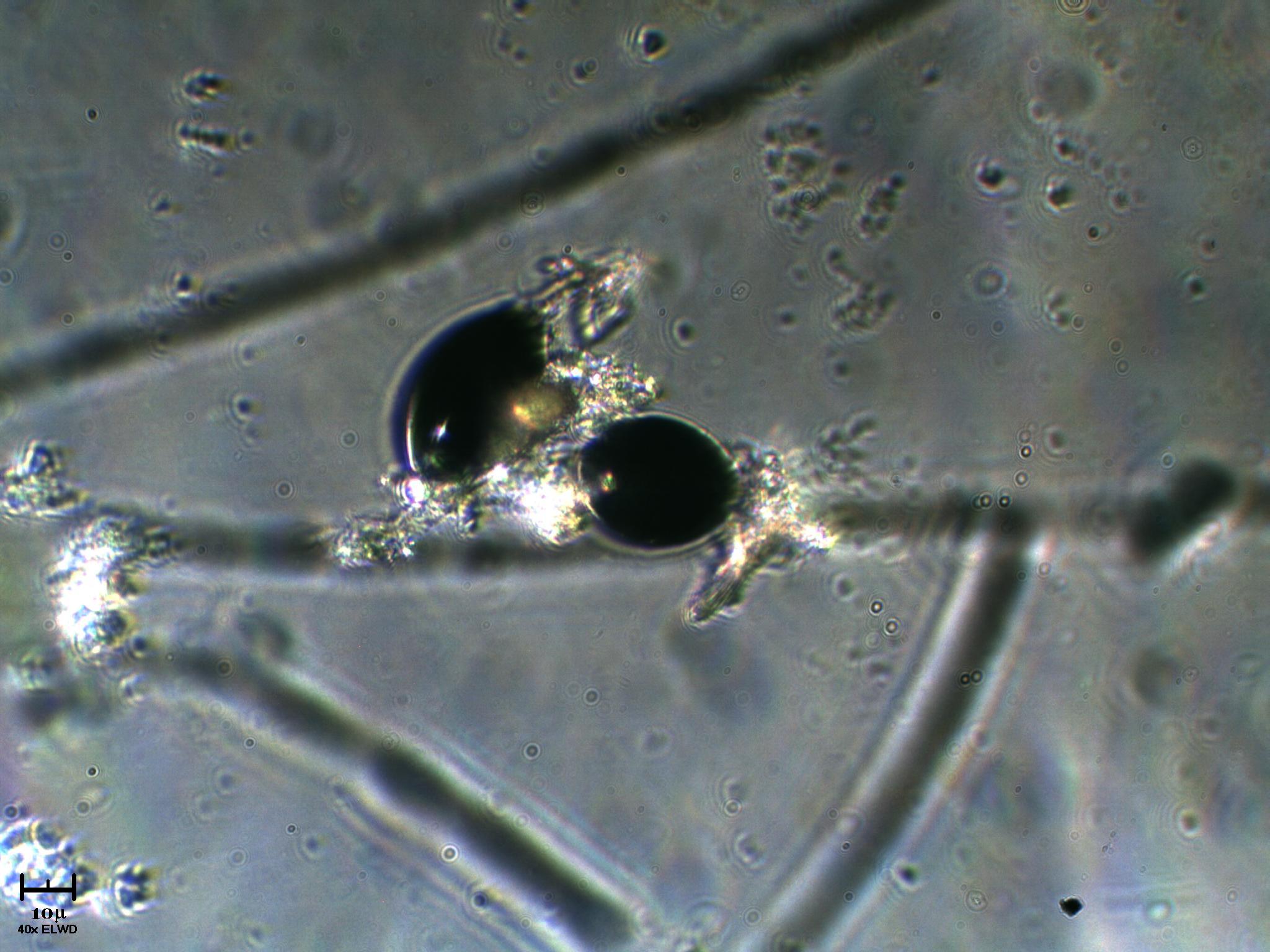 Pi� nero di cos�...