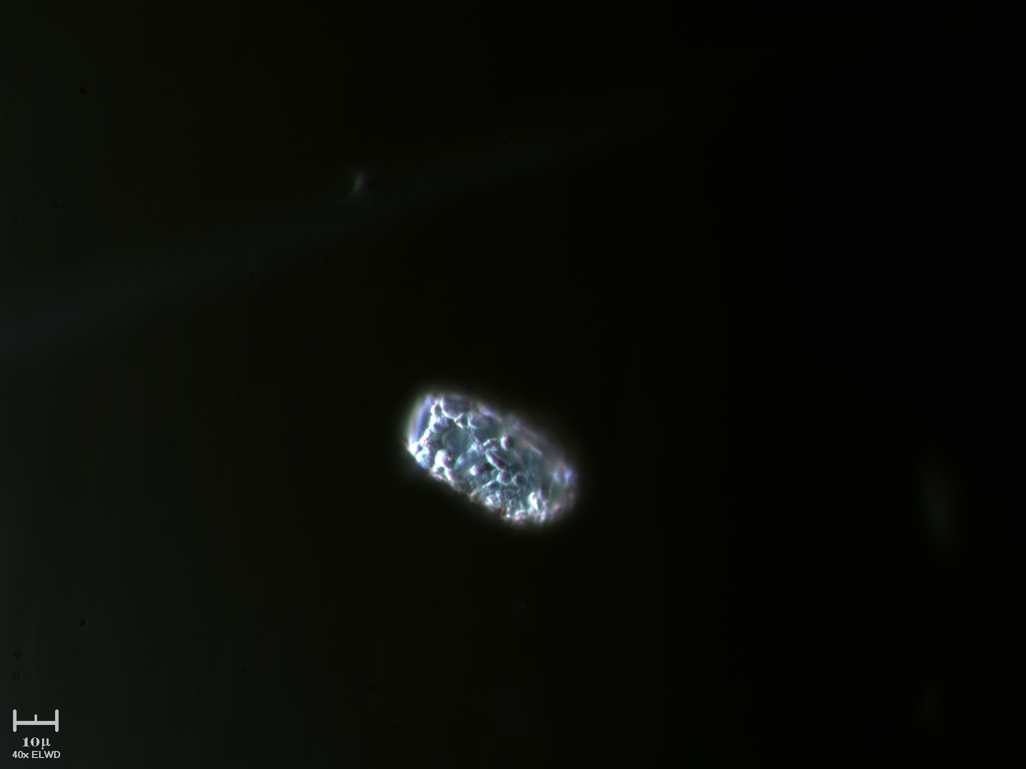 Tecameba