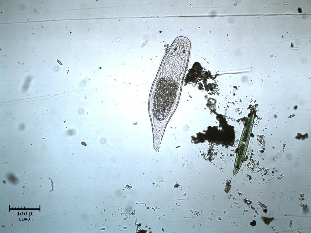 Me lo fanno apposta!