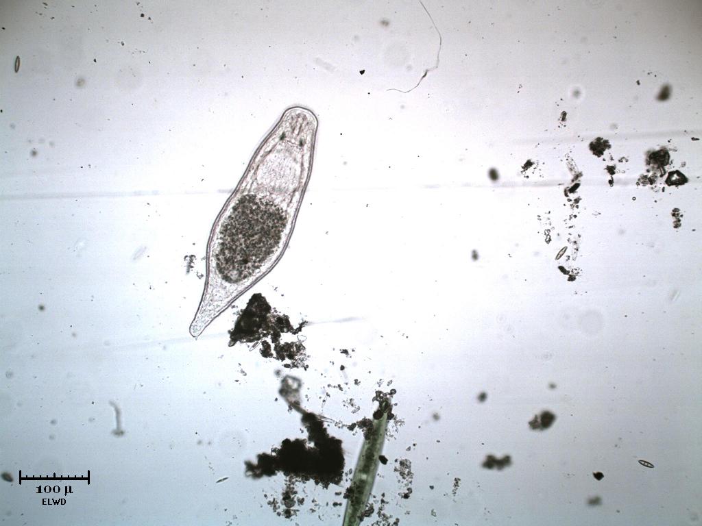 Me lo fanno apposta!