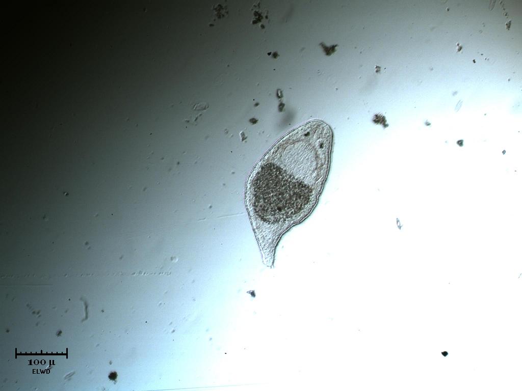 Me lo fanno apposta!