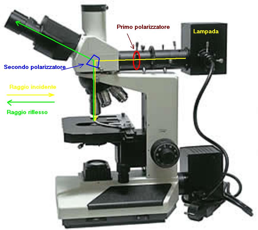 Episcopia in luce polarizzata